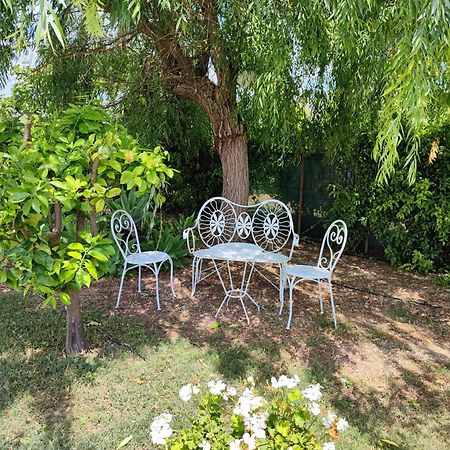 Els Tarongers Perfect For Families Or Friends Βίλα Sa Pobla Εξωτερικό φωτογραφία