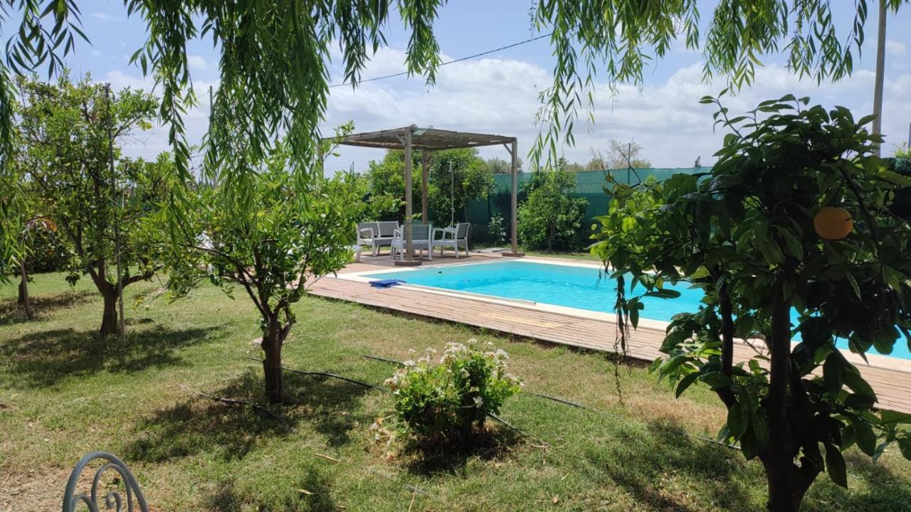 Els Tarongers Perfect For Families Or Friends Βίλα Sa Pobla Εξωτερικό φωτογραφία